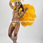   : Brazil Carnival Show