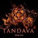   (Fire show) - TANDAVA SHOW