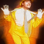 ������ Maestro, ������ ����������