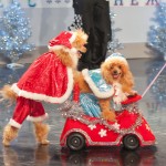 ������
������ ������� , ������ ����������