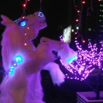 ������� �������� ���: �������� ����� Fire Lotos