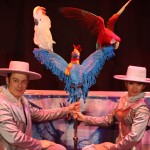 �������. ��� � ���������