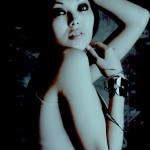 ������ ������� �����, ������ ����������