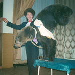 �������. ��� � ���������