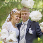 �������. ������� �����