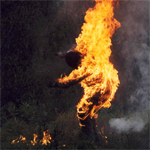 �������. �������-���