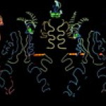 ������ �������� ��� 