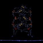 �������� ��� - Bayerdancestudio