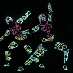 �������. �������� ���