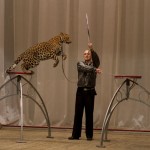 �������. ��� � ���������