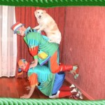 �������. ������