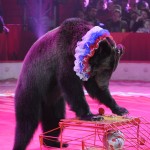 �������. ������� �����